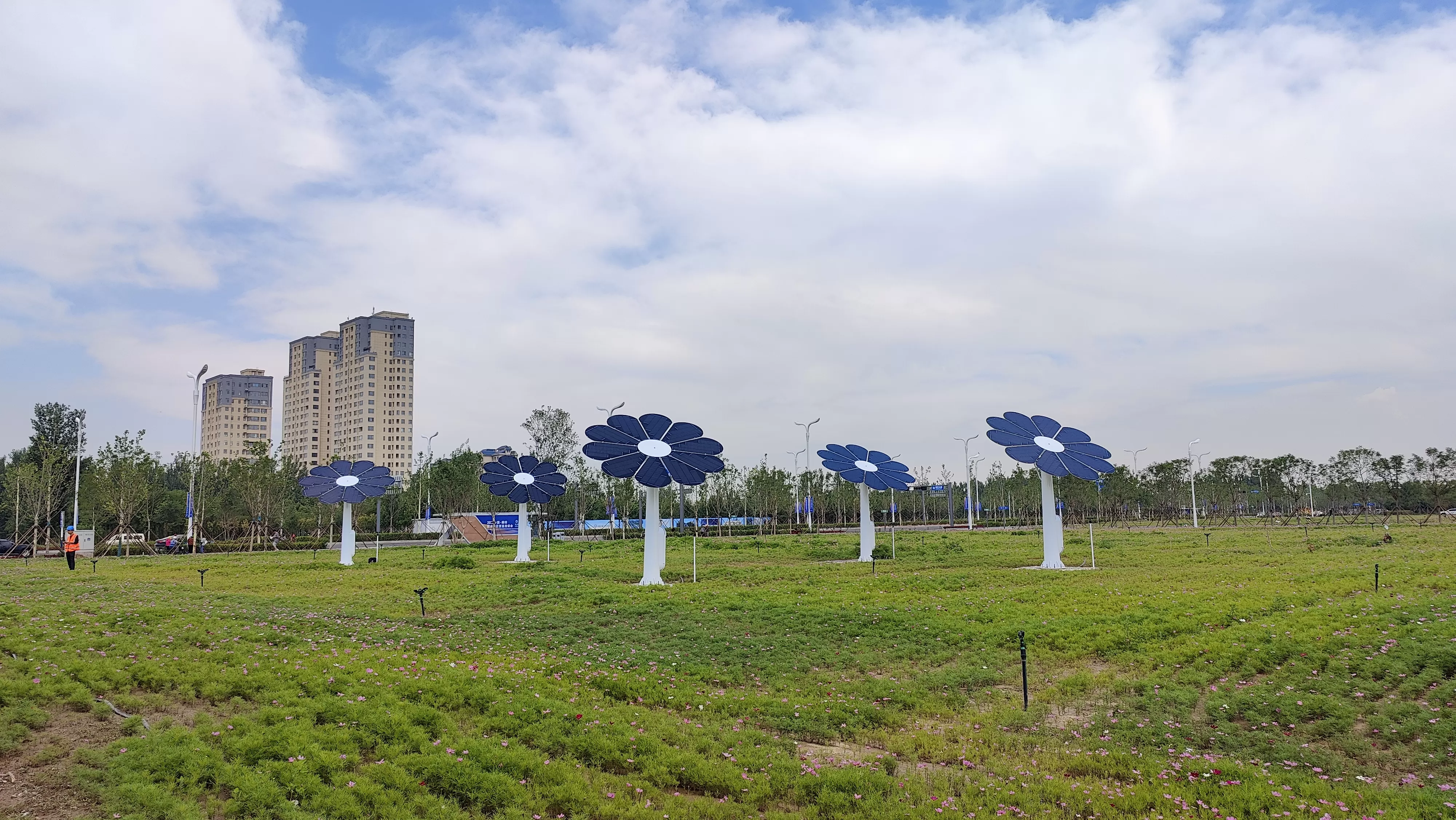WanzeEnergyTwoAxisSunflowers.jpg